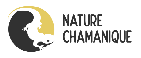 nature chamanique
