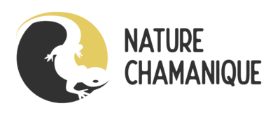 nature chamanique